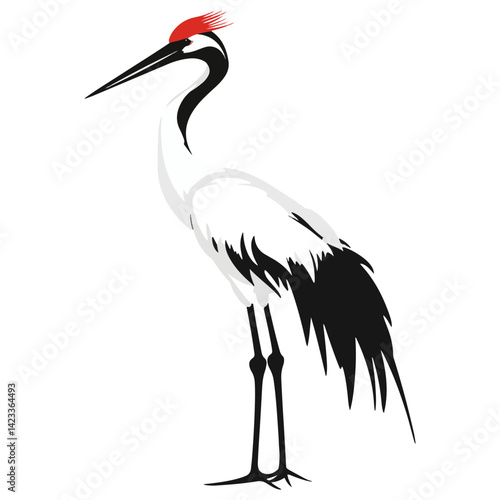 crane, animal, vector, transparent background