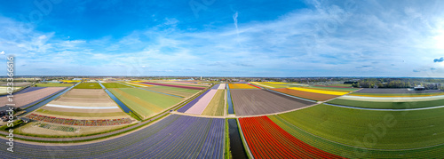 Obraz na płótnie Tulpen w salonie