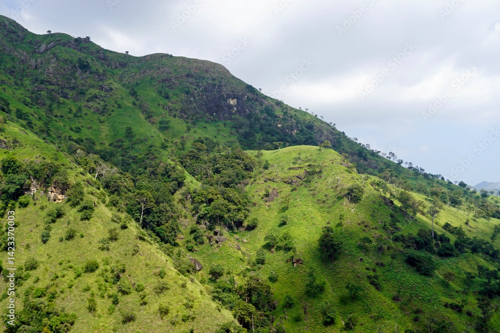 Obraz premium scenic green mountain landscape in sri lanka