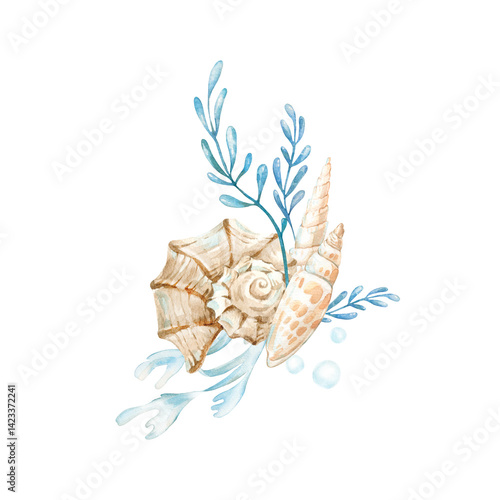 Seashells and seaweeds watercolor illustrations in , blue and beige colors. Hand drawn template isolated on white background. Design elements for labels, textiles, tableware