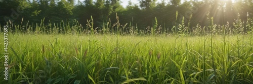 Vibrant green meadow, sunlight dappling through tall grass ,  scene,  tranquil