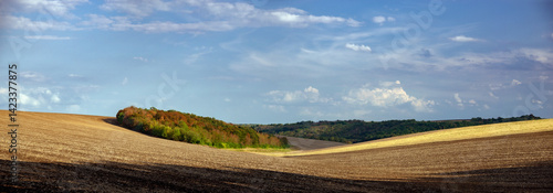 Agro-industrial fields of Ukraine. Black earth lands of the central zone of Ukraine. Endless expanses of endless fields. Plowed fields.
