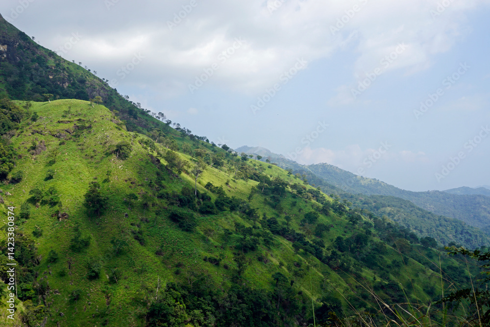 scenic green mountain landscape in sri lanka scenic green mountain landscape in sri lanka