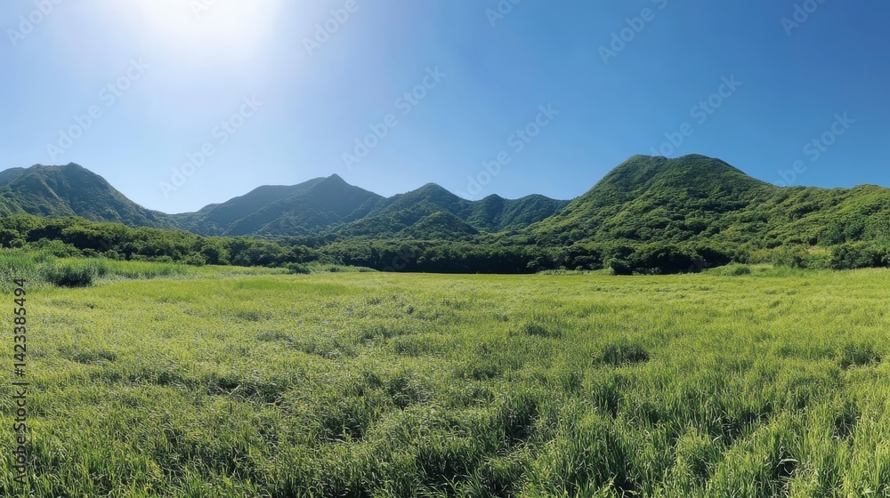 Fototapeta premium Sunny Green Meadow with Blue Sky and Distant Mountains