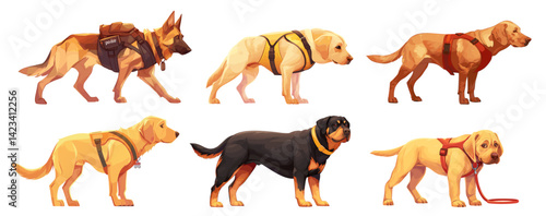 service dog cartoon set. Trained guard guide medical therapeutic rescue service dogs, shepherd rottweiler white labrador red ridgeback breed animal pet character vector illustration