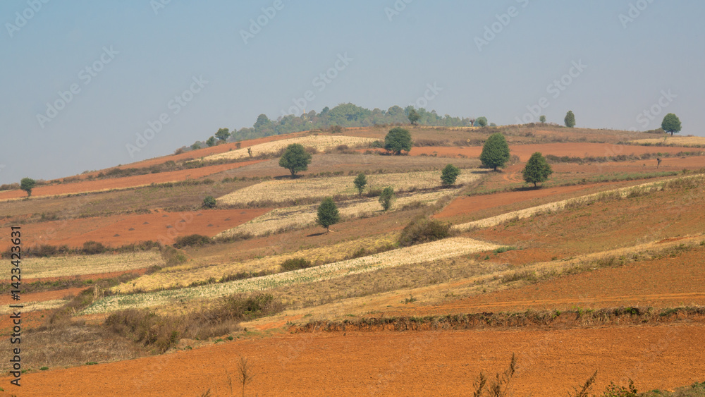 Obraz premium Patchwork landscape, Myanmar