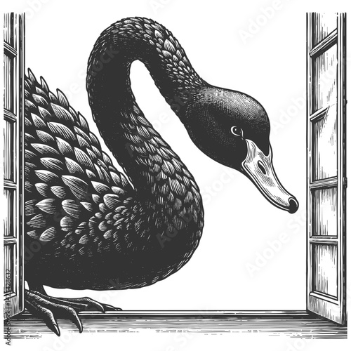 Huge black swan appearing through a window, representing rare and unforeseen disruptive events sketch engraving generative ai vector illustration. Scratch board imitation. Black and white image.