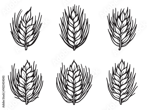 Rolled Oat vector line art illustration