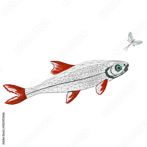 Fish Chondrostoma nasus and ephemera  low-polygon outline vector illustration editable hand draw