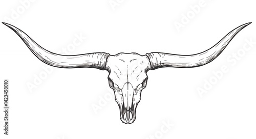 Longhorn skull line drawing western rustic vintage cattle animal illustration