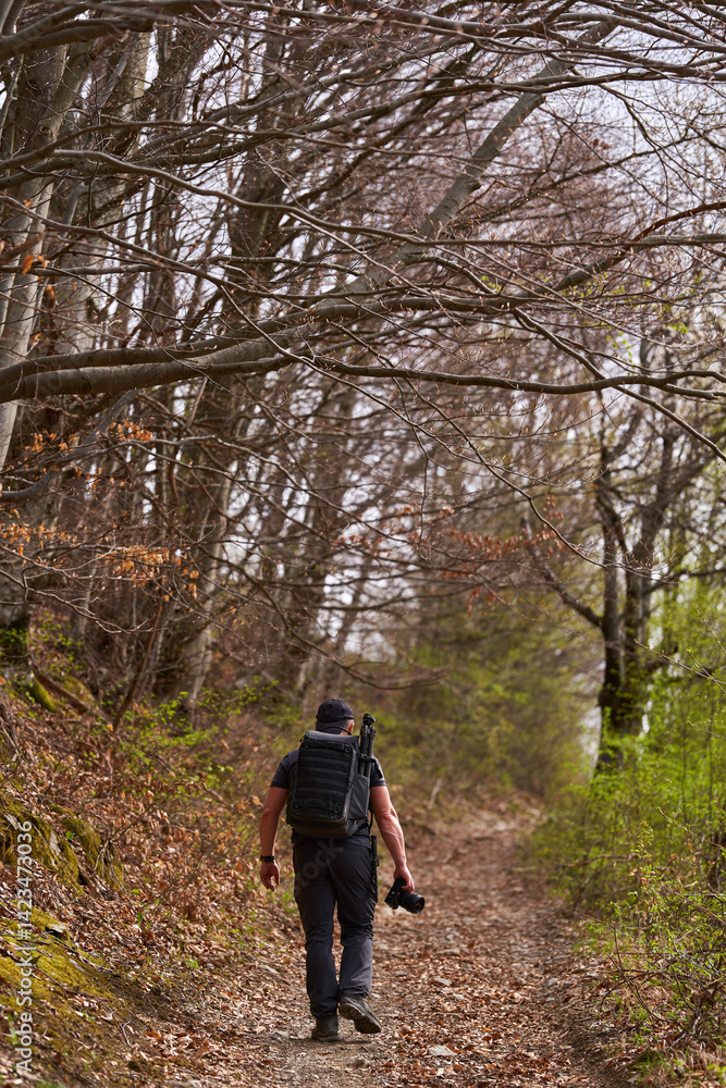 Hiker walking uphill on forest trail with backpack and camera Hiker walking uphill on forest trail with backpack and camera