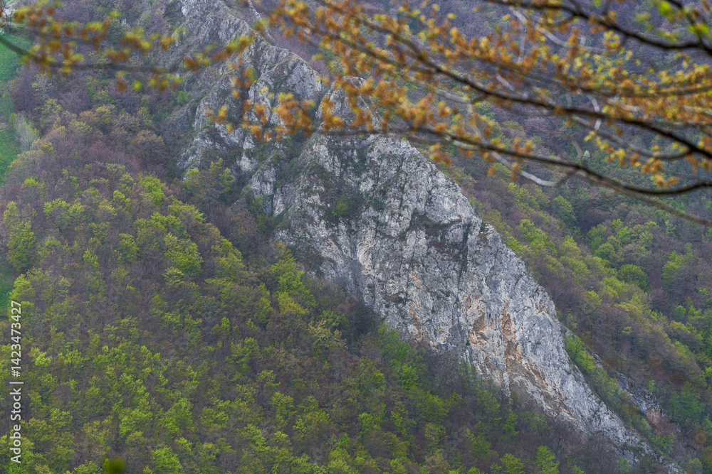 Cliff face emerging from spring forest canopy
