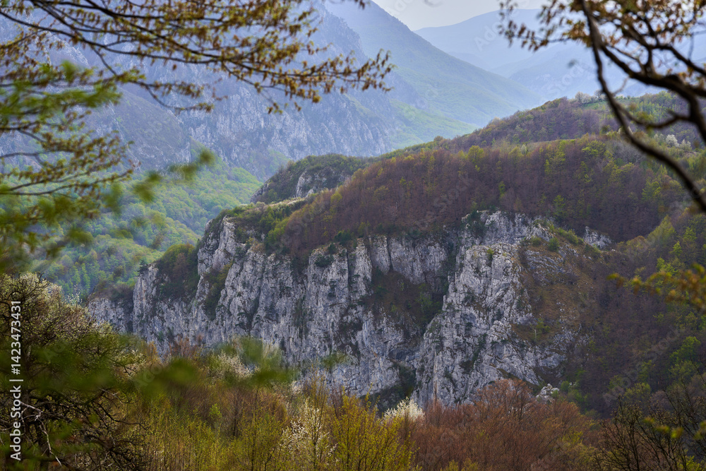 Spring cliffs and forested mountain panorama