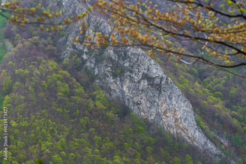 Obraz na płótnie Cliff face emerging from spring forest canopy w salonie