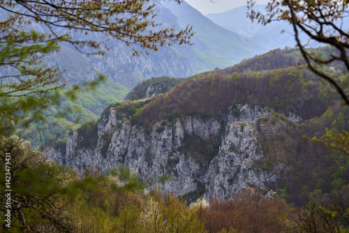 Obraz na płótnie Spring cliffs and forested mountain panorama w salonie
