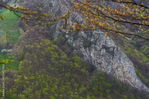 Obraz na płótnie Cliff face emerging from spring forest canopy w salonie