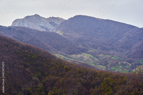 Obraz na płótnie Forested valley beneath rocky mountain w salonie