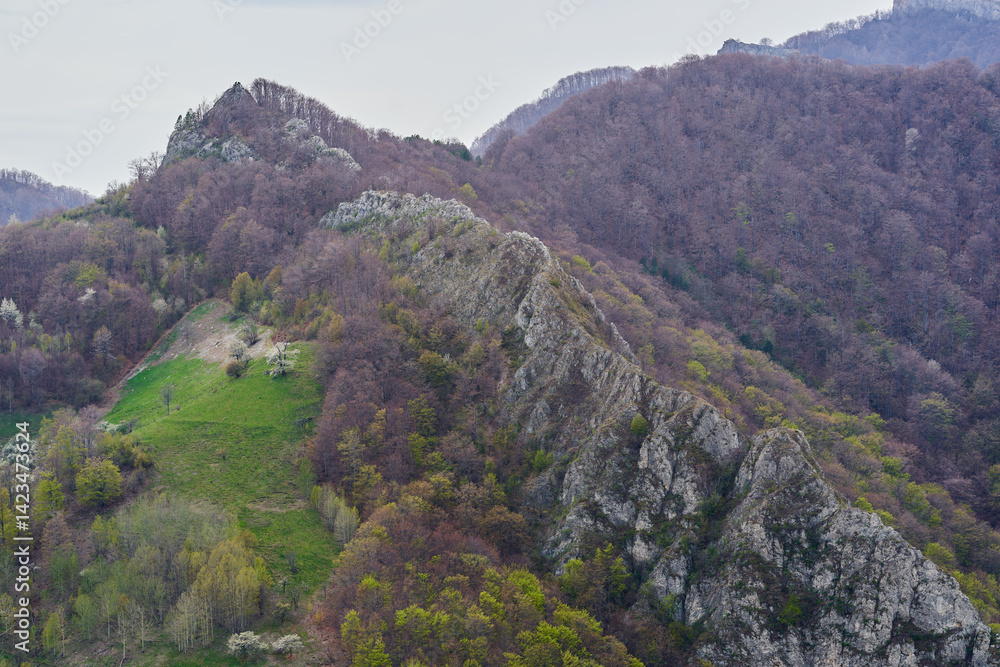 Rocky ridge above forest slopes