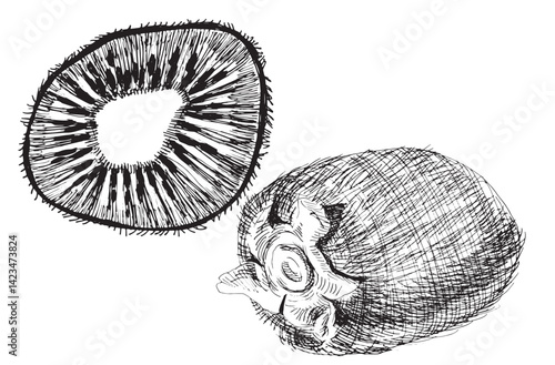 Black and white hand-drawn kiwi aet isolated on a white background. EPS 10 vector. Graphics with a pen. Half kiwi, sliced kiwi, whole kiwi. Sketch with a black pen. The design element