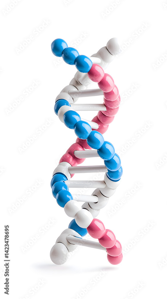 Obraz premium 3d DNA molecule object isolated on white background