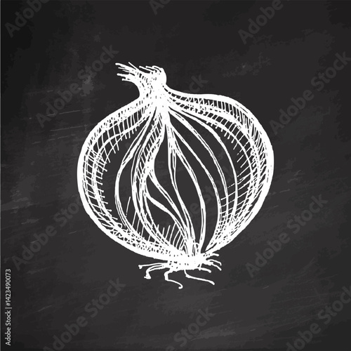 Hand drawn vintage sketch of whole onion bulb with peeled layers on chalkboard background