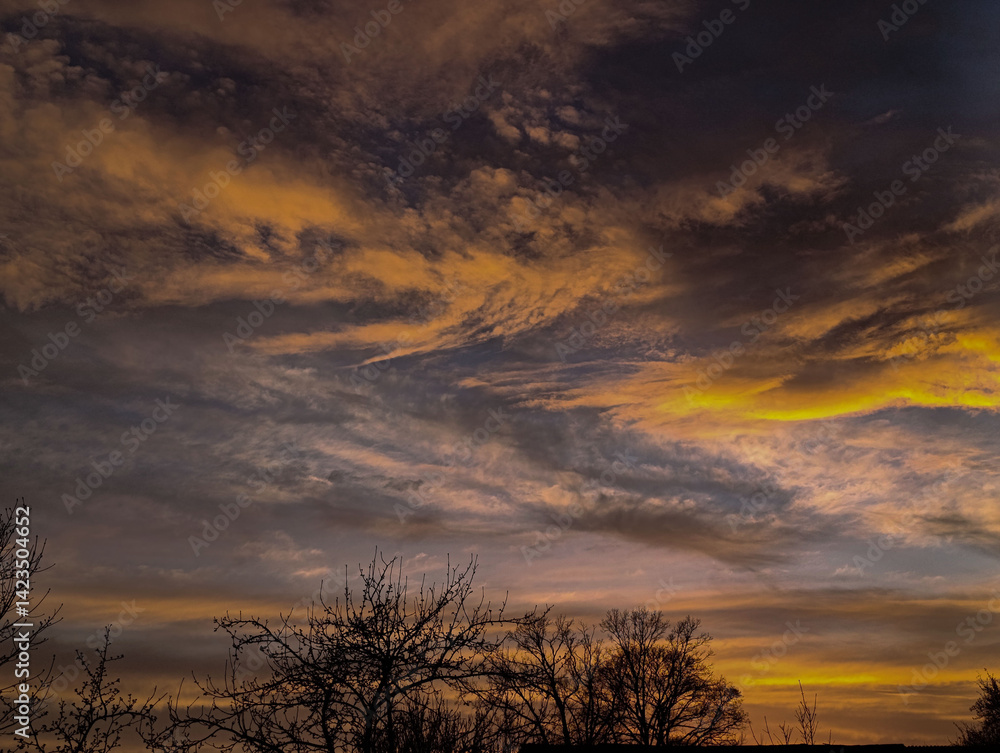 Dark orange clouds over a blooming garden on a spring day