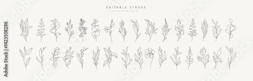 Set of different flowers and brunch from flat editable stroke. Luxury line floral collection for wedding invitation art, design template of save the date card. Botanical vector illustration