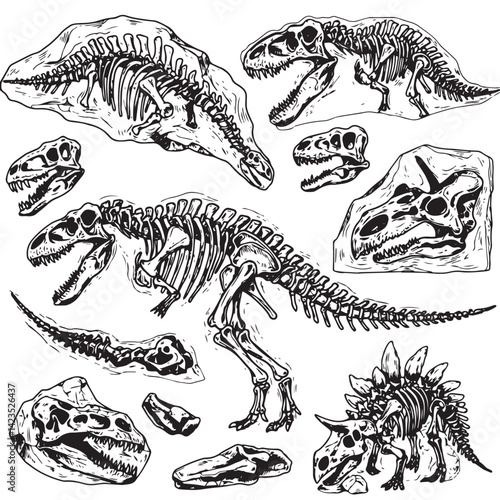 Dinosaurs fossils and bones hand drawn vector illustration