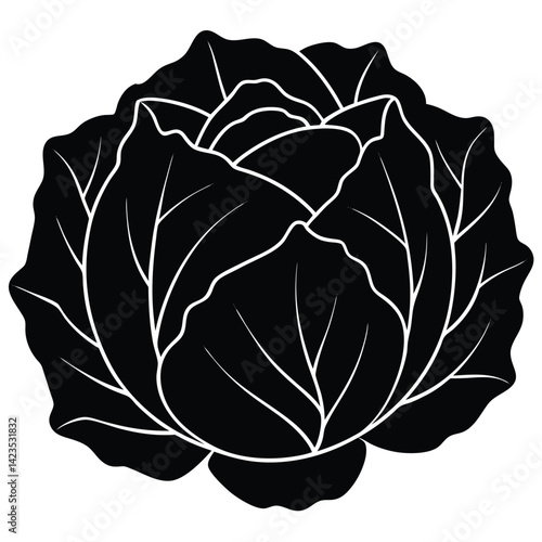 Black silhouette of a cabbage on a white background