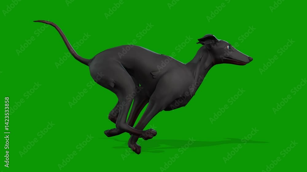 A cute black Dog running fast view from right 3D rendering animation on green screen A cute black Dog running fast view from right 3D rendering animation on green screen
