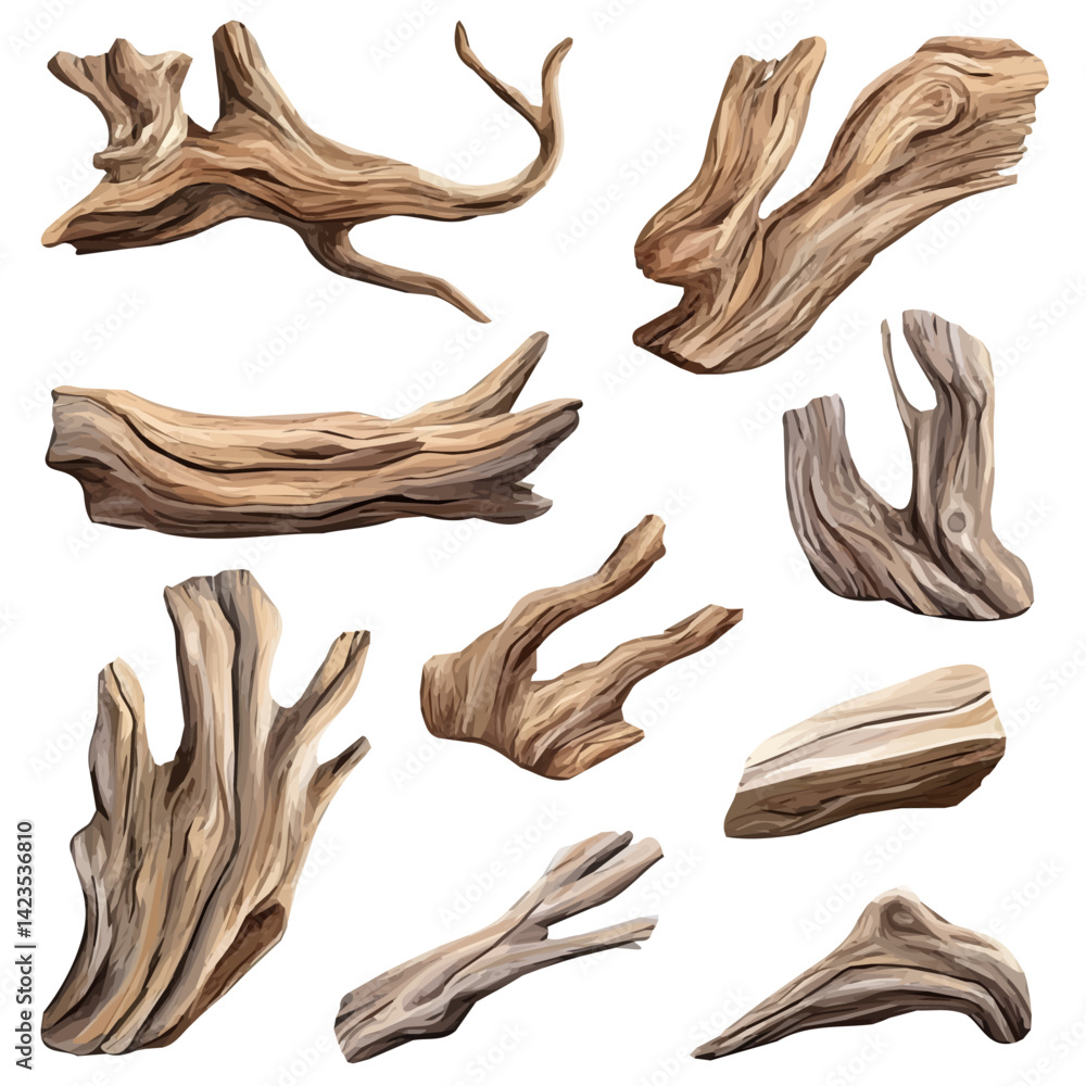 Fototapeta premium My Simple flat 2D illustration Collection of driftwood isolated on a transparent background, vector, flat design, animation design, simple flat 2D icon, clipart