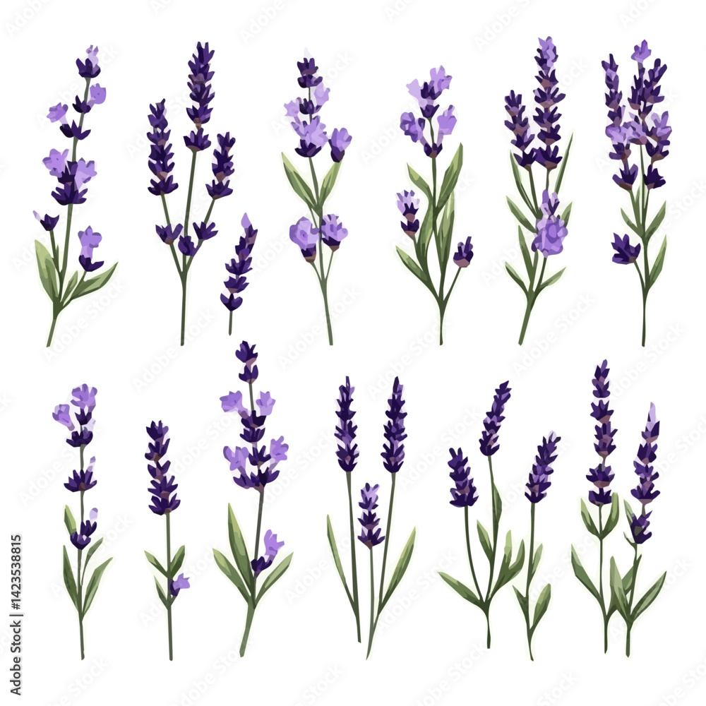 Fototapeta premium A Very Simple flat 2D icon of a Collection of lavender flower elements isolated on a transparent background, vector, flat design, animation design, vector, simple flat 2D icon, minimalist, eps