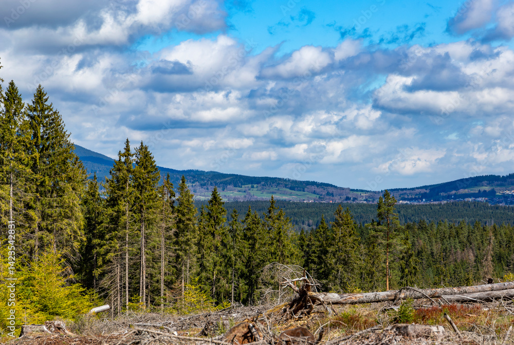 Forest-covered mountains. Sumava National Park, Czech Republic.
