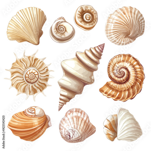 My Very Simple flat 2D icon of a Collection of seashell elements isolated on a transparent background, vector, flat design, simple flat 2D icon, eps format