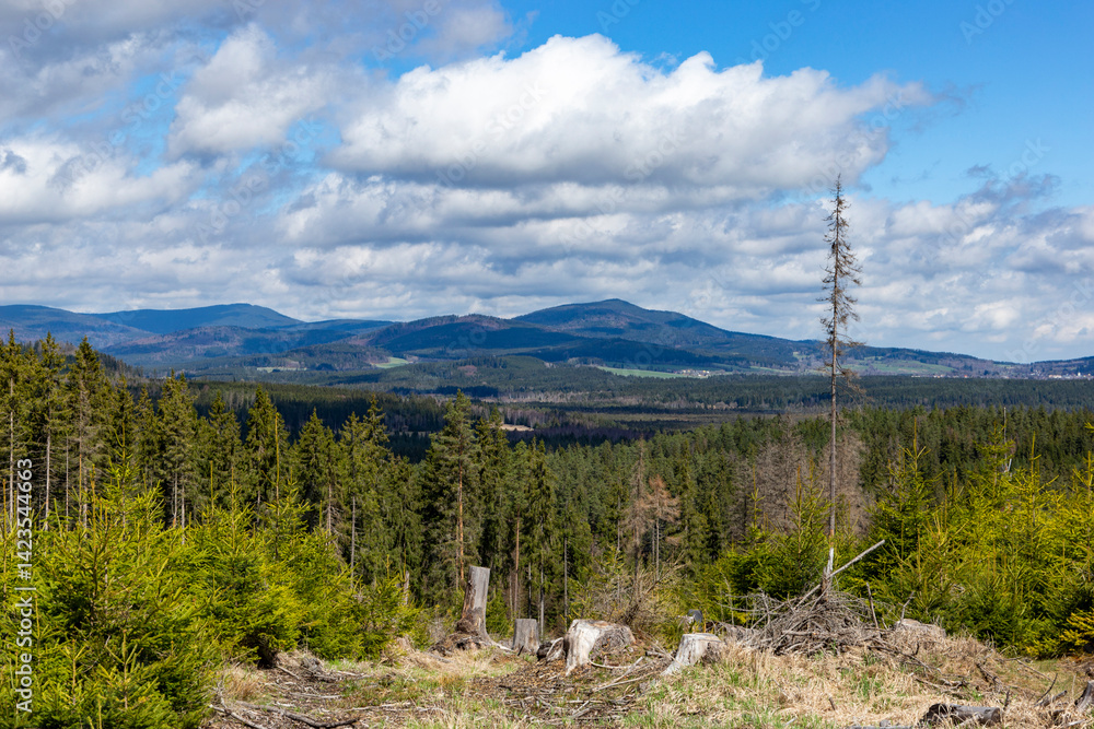 Forest-covered mountains. Sumava National Park, Czech Republic.