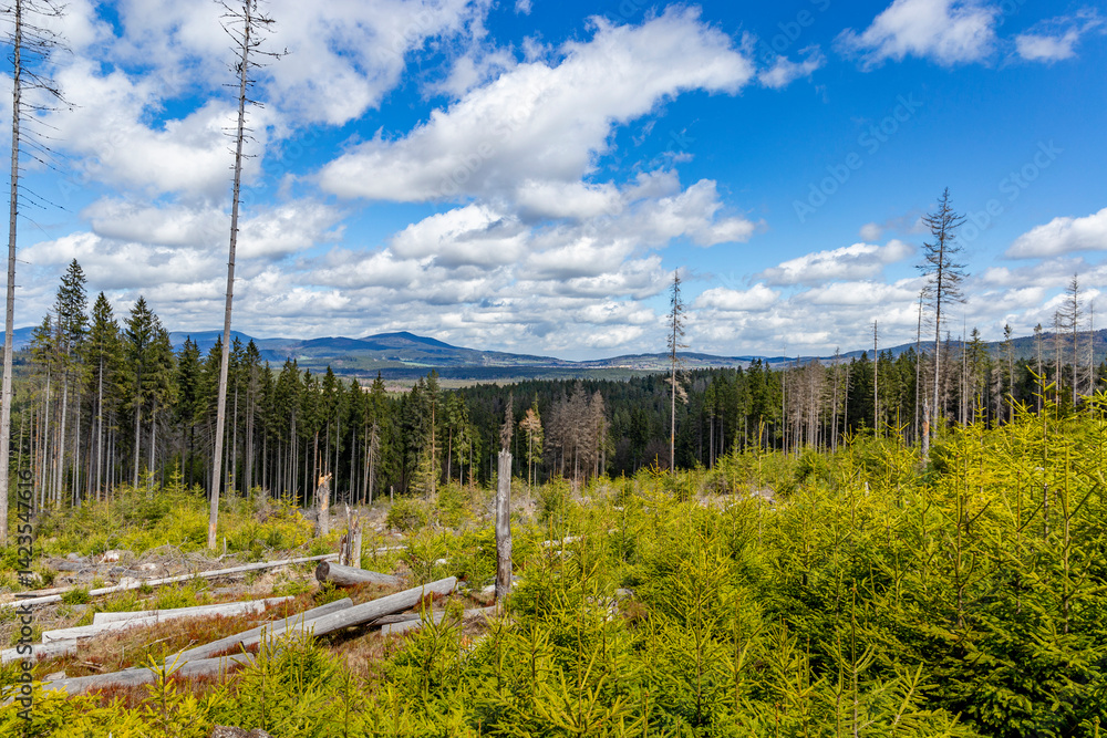 Forest-covered mountains. Sumava National Park, Czech Republic.