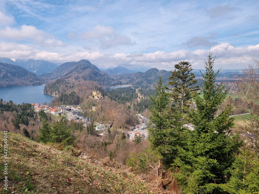 Landscape near Hohenschwangau