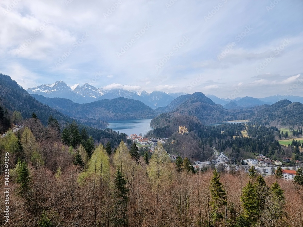 View from the Alps