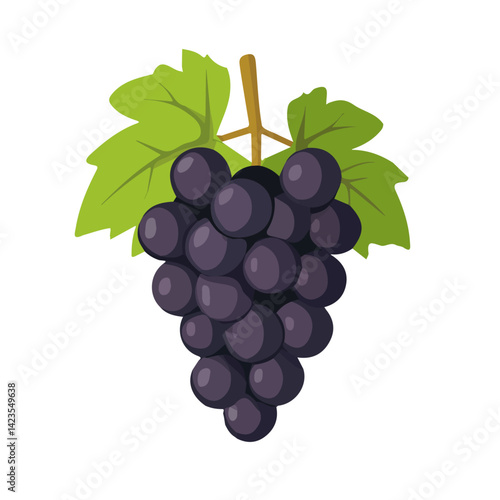My Simple flat 2D illustration of a black grape set isolated on a transparent background, vector, flat design, animation design, simple flat 2D icon, EPS Format