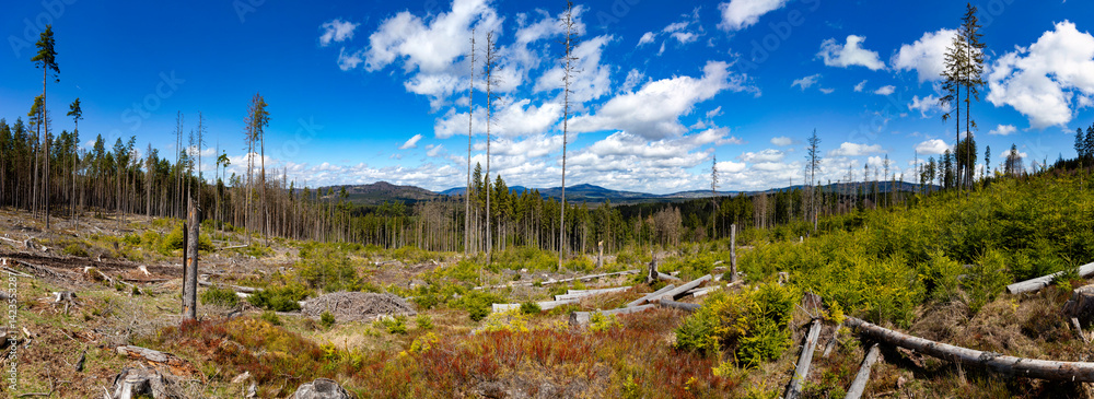 Panoramic photo of forest-covered mountains. Sumava National Park, Czech Republic.