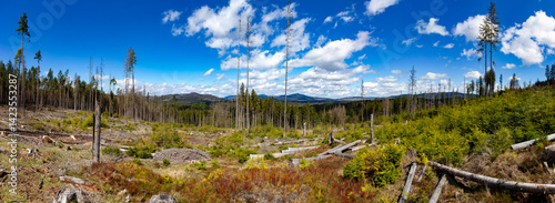 Obraz na płótnie Panoramic photo of forest-covered mountains. Sumava National Park, Czech Republic. w salonie