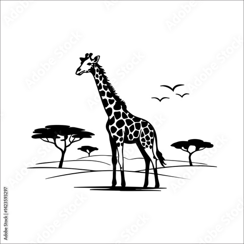 giraffe in the wild