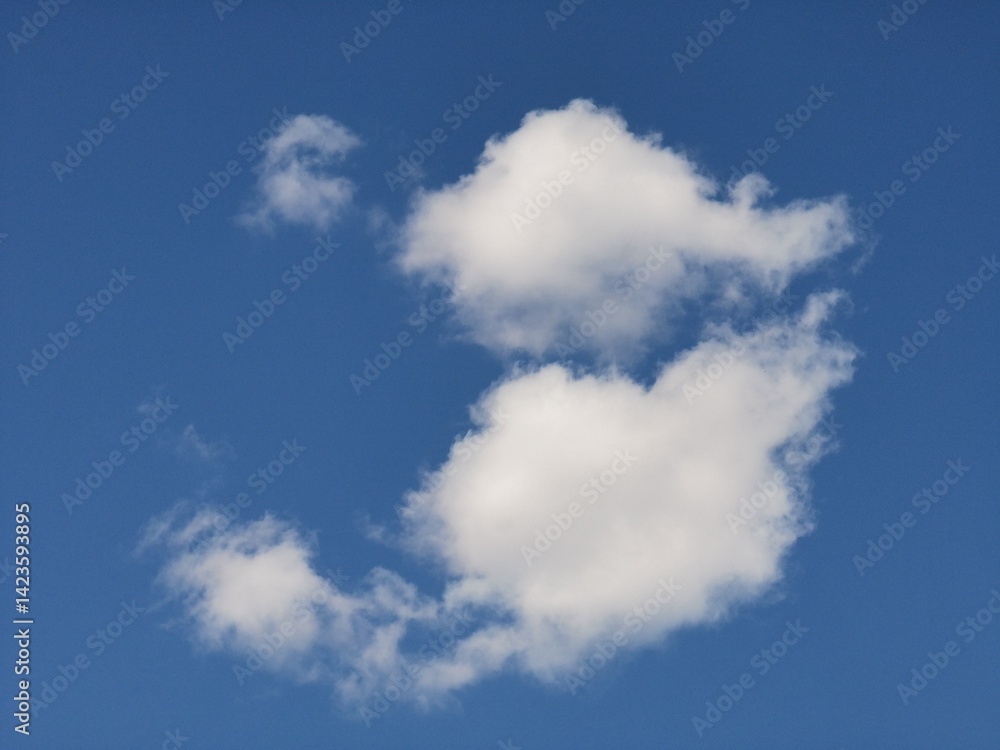 Two large, fluffy cumulus clouds with soft edges floating in a clear blue sky, forming a bold and serene natural sky background Two large, fluffy cumulus clouds with soft edges floating in a clear blue sky, forming a bold and serene natural sky background