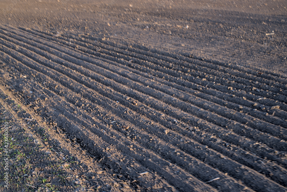 Photo of plowed field in Ukraine