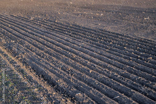 Obraz na płótnie Photo of plowed field in Ukraine w salonie