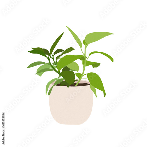 Plant pot illustration -  A green plant is planted in a beige pot.