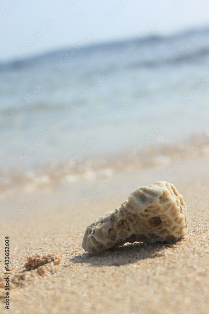 rock at the beach rock at the beach