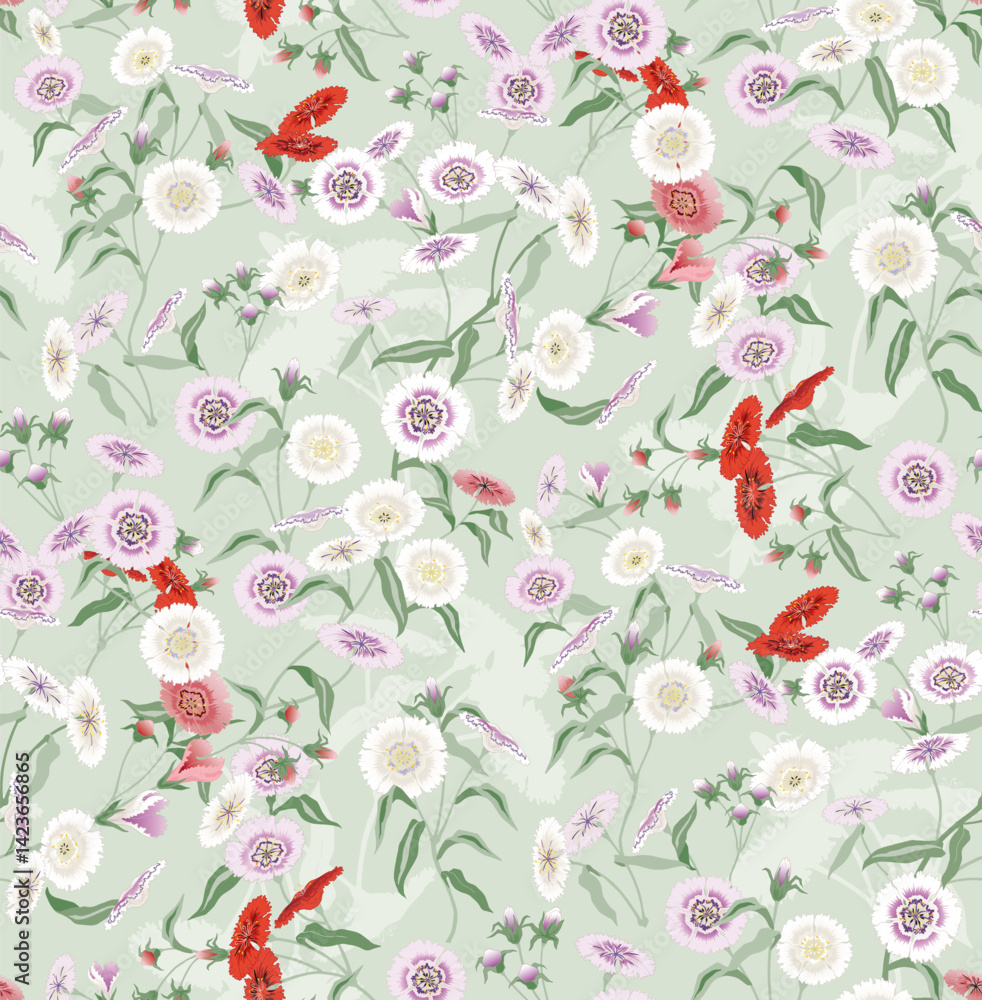 Fototapeta premium A Colorful Field of Blooming Dianthus Flowers. Vector illustration of a seamless pattern 