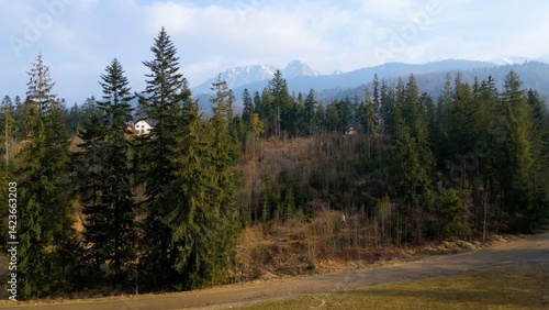 mountain top rocks view from above Zakopane Poland