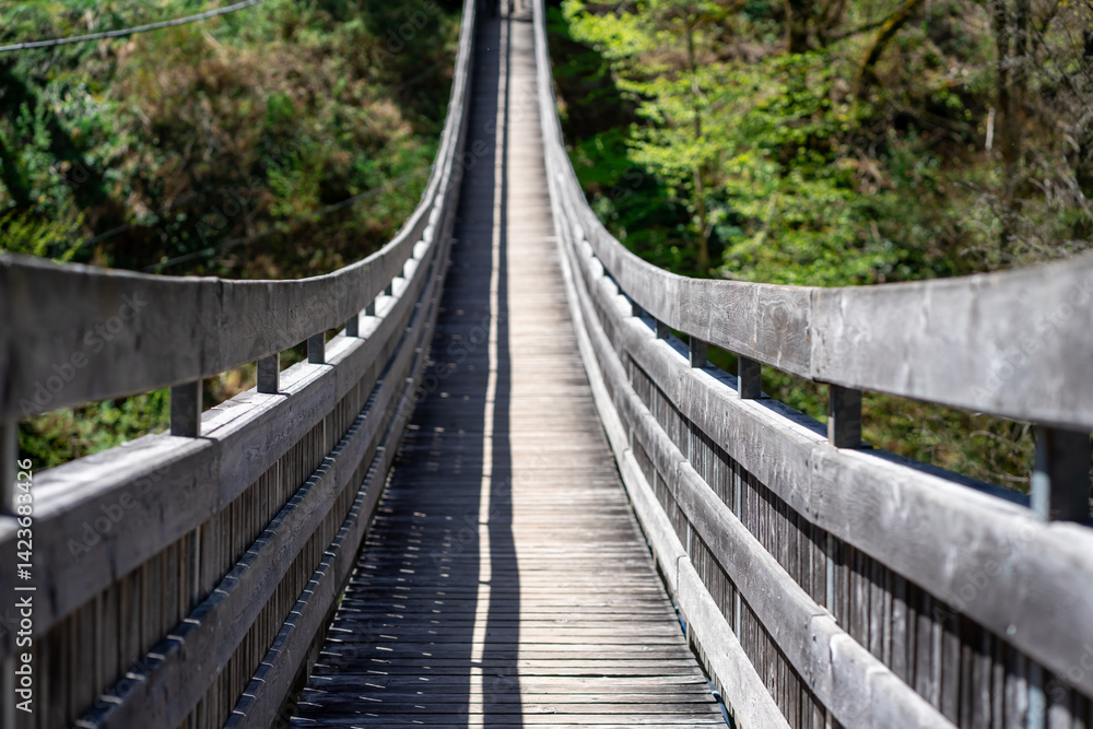 Wooden suspension bridge over a mountain river among the forest in park, Austria